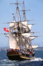 ID 2031 HMAV BOUNTY replica (1978/274tonnes/387 tonnes disp) approaches Auckland, New Zealand after an overnight voyage down the coast from Whangarei where she was built for the film 